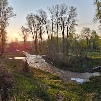 BrushBuck Wildlife Tours - Tours Near Me - Jackson, Wyoming