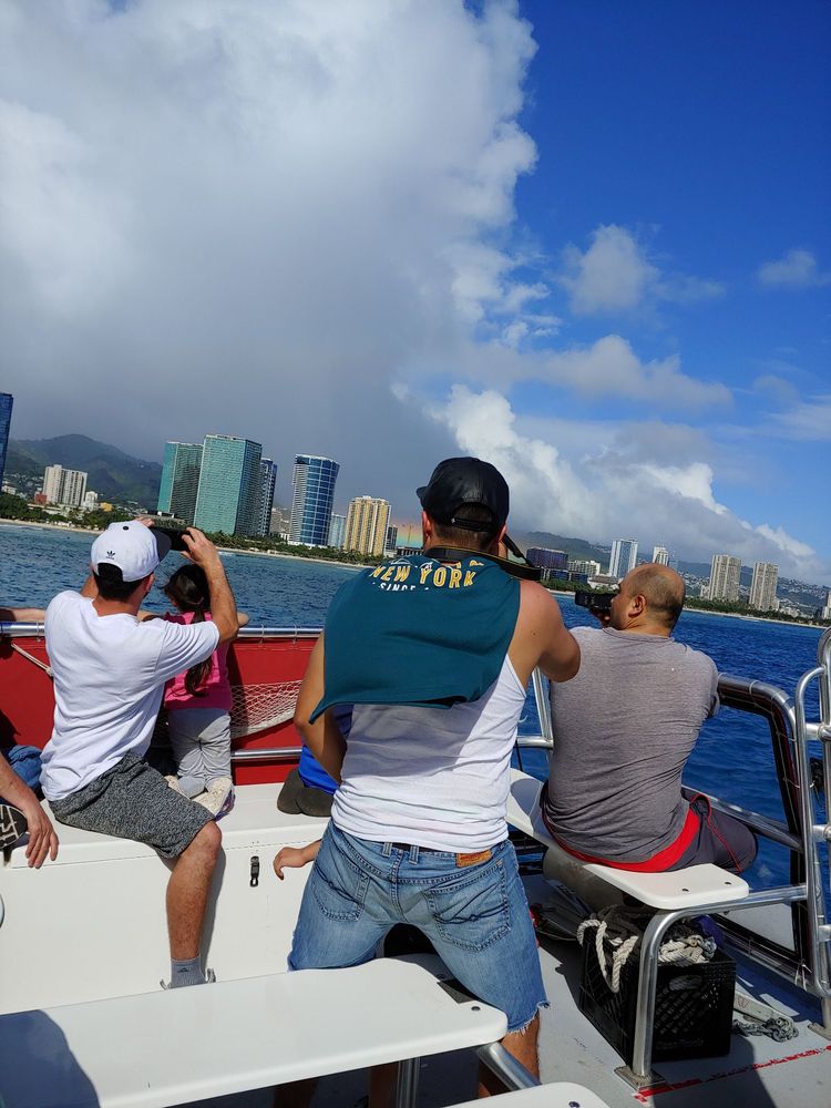 Hawaii Glass Bottom Boat Tours 449 Photos & 239 Reviews Boat