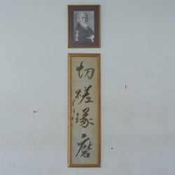 Fernando Saa Medicina China