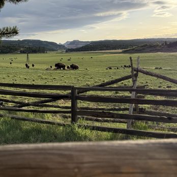 Zion Mountain Ranch - View from our cabin porch - Guest Houses Near Me - Mount Carmel, Utah