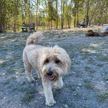 Mr. Pups Pet Care - Dog Walkers Near Me Mr. Pups Pet Care - Dog Walkers Near Me