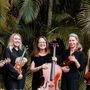 Paradise Strings