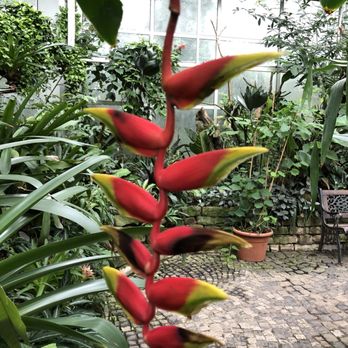Palmengarten - Botanical Gardens Near Me - Frankfurt, HE