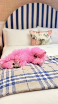 Le Petit Pali Laguna Beach by null