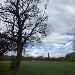 The Meadows