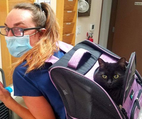 VCA Animal Hospital of Cotati