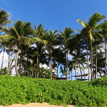 Burger Shack - View from the private beach - Burgers Near Me - Kapalua, Hawaii Burger Shack - View from the private beach - Burgers Near Me - Kapalua, Hawaii