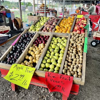 Wolfe's Produce - a variety of fruits and vegetables - Fruits & Veggies Near Me - Riverview, Florida Wolfe's Produce - a variety of fruits and vegetables - Fruits & Veggies Near Me - Riverview, Florida