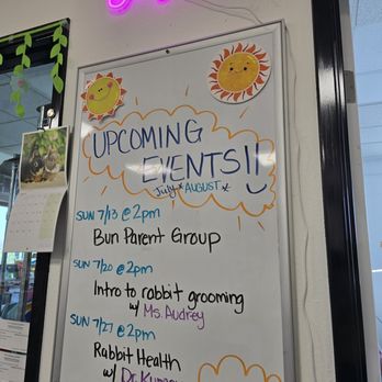 Sunshine Rabbit Center - Pet Groomers Near Me - Long Beach, California Sunshine Rabbit Center - Pet Groomers Near Me - Long Beach, California