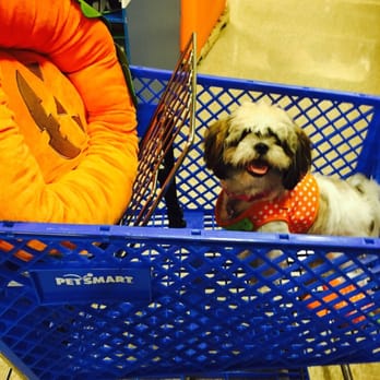 PetSmart - Pet Training Near Me - Brownsville, Texas PetSmart - Pet Training Near Me - Brownsville, Texas