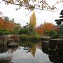 Photo of Pavillon Japonais de l'île de Versailles