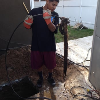Integrity Plumbing - one set of roots pulled from our pipes! - Plumbing Near Me Integrity Plumbing - one set of roots pulled from our pipes! - Plumbing Near Me