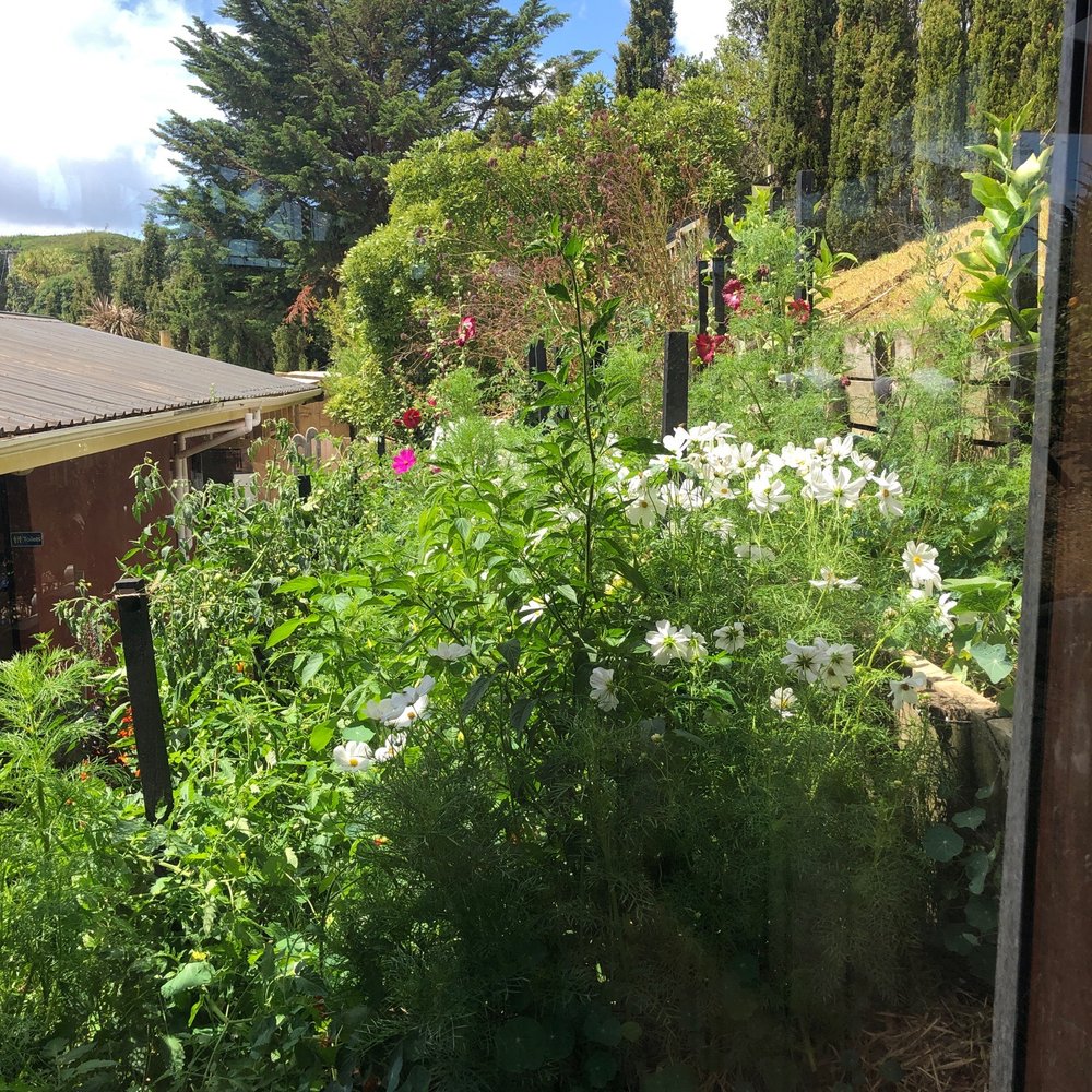 Casita Miro - Wineries Near Me - Auckland, AUK