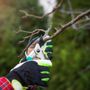 Bailey's Tree Service