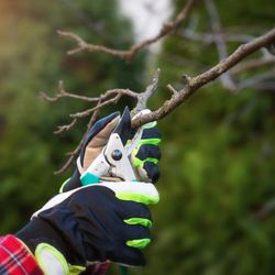 Bailey's Tree Service