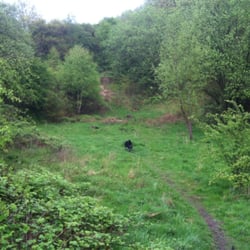 Cotwall End Country Park