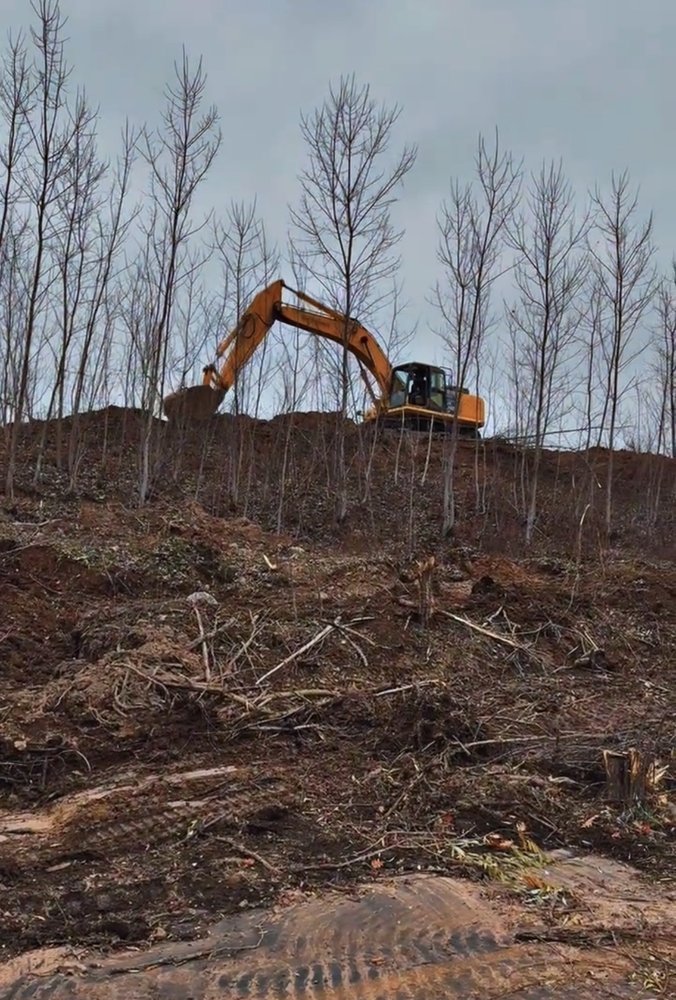 WNY Forestry Services - tree service in Rochester, NY