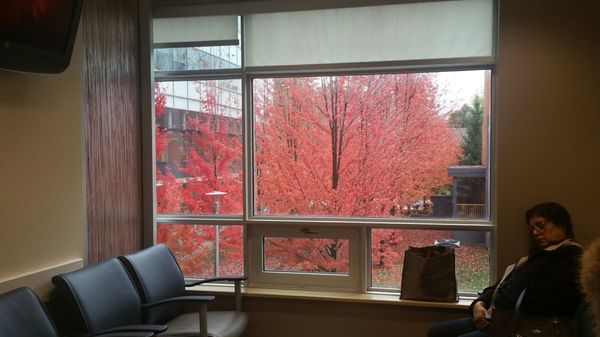 Toronto Western Hospital by null