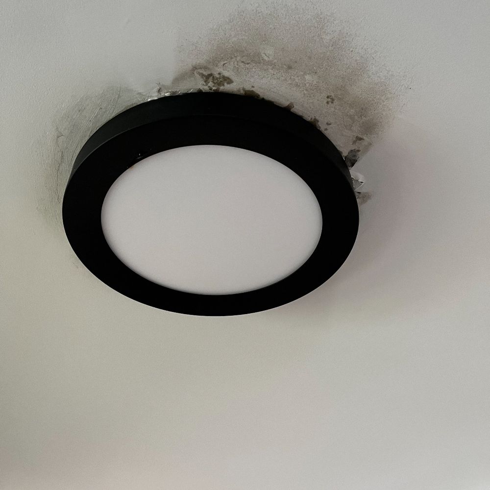 Costco - Water damage on the ceiling of the floor below the dishwasher - Wholesale Stores Near Me - Elkridge, Maryland Costco - Water damage on the ceiling of the floor below the dishwasher - Wholesale Stores Near Me - Elkridge, Maryland