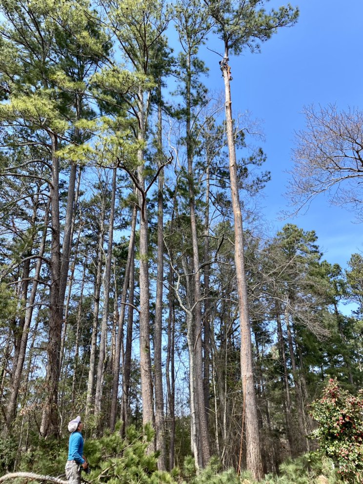 Slide of Speed Seamless Gutters