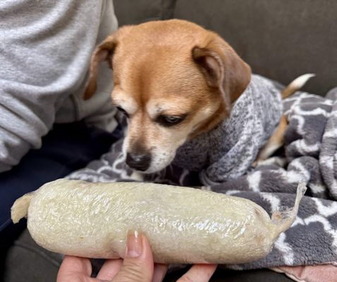 Yung Ho Cafe by null