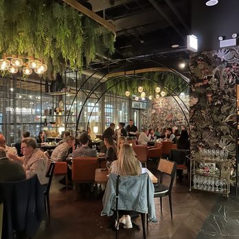 Alpana - Interior Dining Area - New American Near Me - Chicago, Illinois Alpana - Interior Dining Area - New American Near Me - Chicago, Illinois