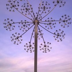 Seeds of Light