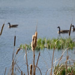 Yakima Sportsman State Park