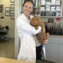 Photo of Animal Medical Center