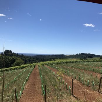 Torii Mor Winery - Wine Tasting Room Near Me - Dundee, Oregon Torii Mor Winery - Wine Tasting Room Near Me - Dundee, Oregon