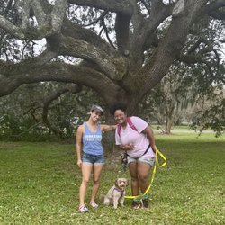 Smart Bitch Modern Dog Training - My dog Jazz with Jio (left) and Taylor (right) at City Park