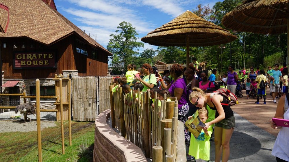 The Learning Experience - Union - childcare center in Union Township, NJ