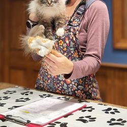 Deerfield Veterinary Clinic, Inc - Miss Dasha loves her Dr. Tawnya!