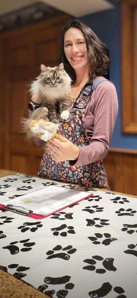 Deerfield Veterinary Clinic Image
