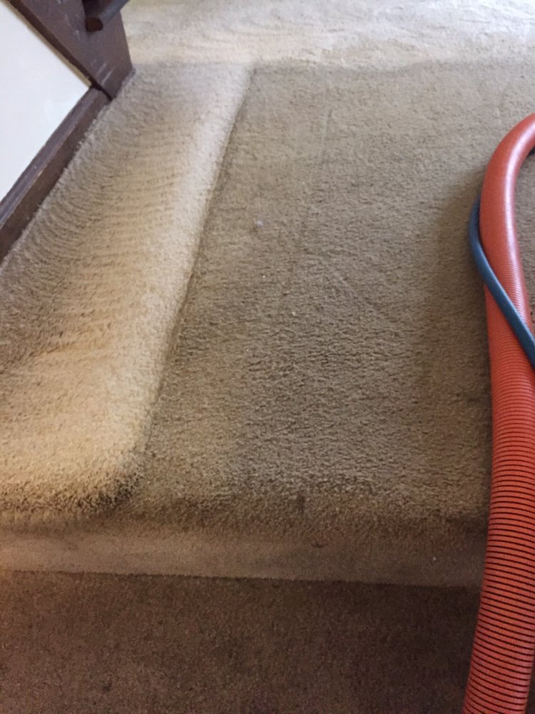 ACE CARPET CLEANING Updated September 2024 Request a Quote 4300