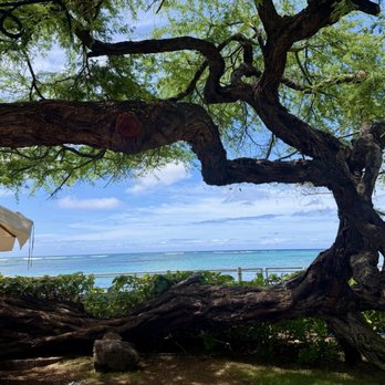 House Without A Key - Wonderful View - Seafood Near Me - Honolulu, Hawaii