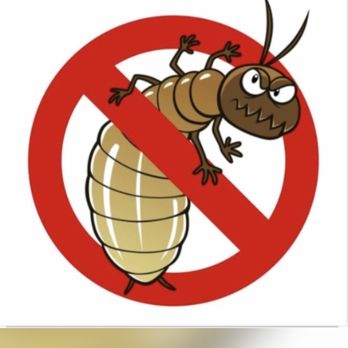 Termite Pro - Pest Control Near Me - Fullerton, California Termite Pro - Pest Control Near Me - Fullerton, California