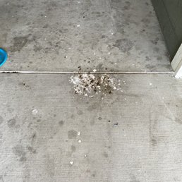 estates at hollister