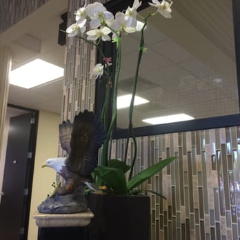 Forever Green - Thanks Forever Green for keeping reception at CCC looking beautiful! - Landscape Architects or Designers Near Me Forever Green - Thanks Forever Green for keeping reception at CCC looking beautiful! - Landscape Architects or Designers Near Me