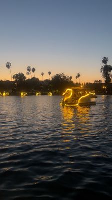 Echo Park Swan Boats by Wheel Fun Rentals by null