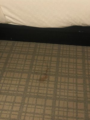 Copley Square Hotel, a FOUND Hotel by null