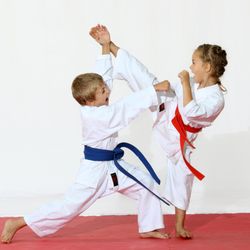 Steve Nugents Karate Institute