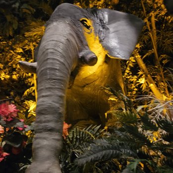 Rainforest Cafe - American Near Me - Galveston, Texas