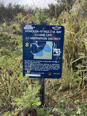 Slaughterhouse Beach by null