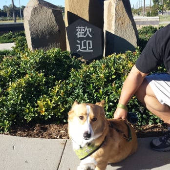 Ryan Bonaminio Park - Parks Near Me - Riverside, California