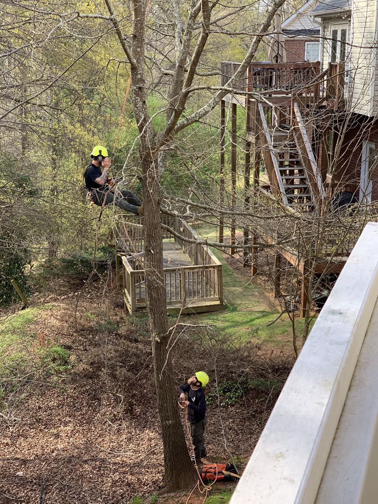 ATHENS ARBORIST TREE CARE - Updated October 2024 - 1490 Whippoorwill Rd ...