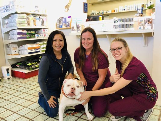 Serra Veterinary Hospital 2025