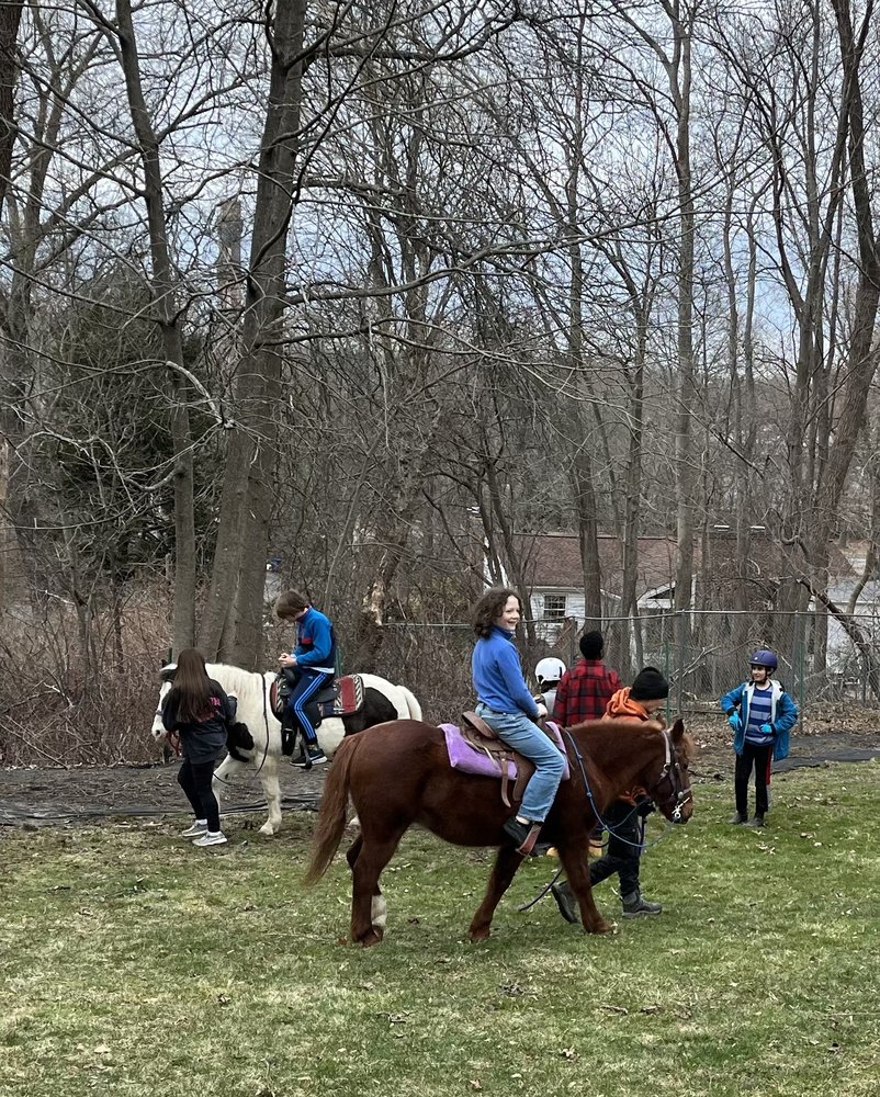 Blazing Saddles Equestrian Center - equestrian in Randolph, MA
