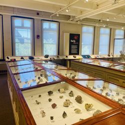 Harvard Museum of Natural History
