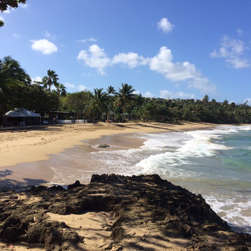Villa Montana Beach Resort - Looking back towards the resort, west - Hotels Near Me - Isabela, Puerto Rico Villa Montana Beach Resort - Looking back towards the resort, west - Hotels Near Me - Isabela, Puerto Rico